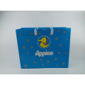 Professional Customized Paper Bag Gift Bag for Shopping and Packing Gift